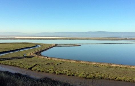 Vista towards the South