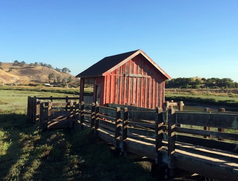 Picnic Shelter
