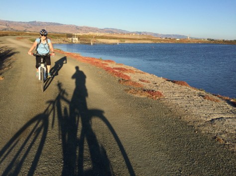 Mallard Slough Trail