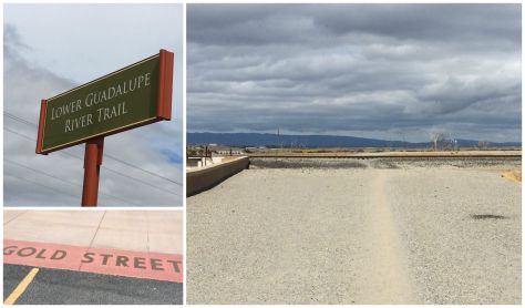 Lower Guadalupe River Trail