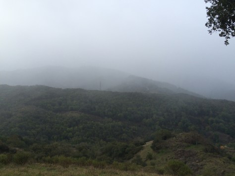 Rainy Almaden Quicksilver County Park