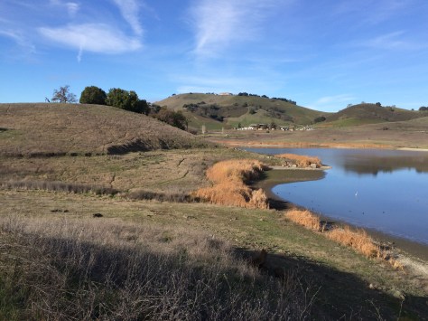 Calero Reservoir