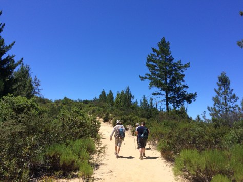 Big Basin Redwoods State Park: Sandstone Ridge